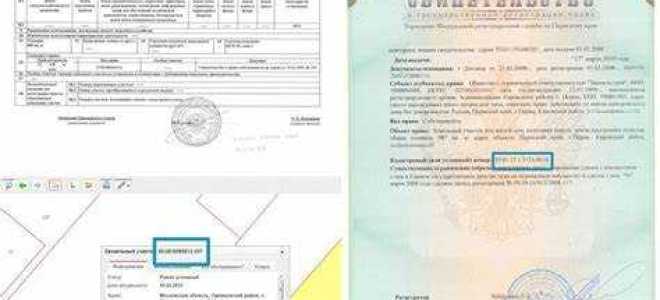Что считается единицами кадастрового деления