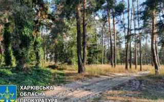 Ущерб почвам как объекту охраны окружающей среды