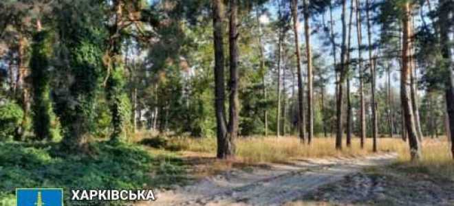 Ущерб почвам как объекту охраны окружающей среды