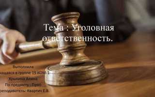 Кто несет уголовную ответственность в организации