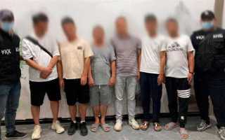 Фирма занялась криминалом что делать