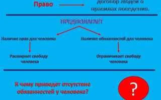 Зачем нужно соблюдать законы конституции