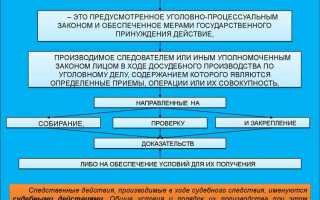Чем дознание отличается от проводимых неотложных следственных действий