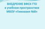 Какой документ раскрывает структуру и содержание вфск гто