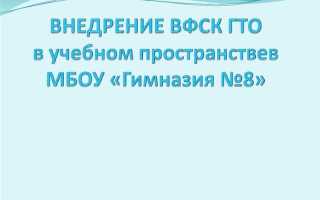 Какой документ раскрывает структуру и содержание вфск гто