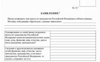 Если отказаться от гражданства рф что будет
