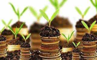 Капитальные вложения и инвестиции в чем разница