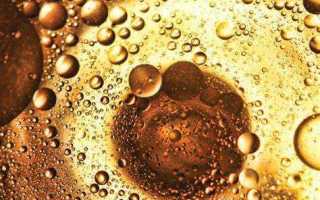 Сколько хранится информация о замене фритюрных жиров