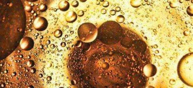 Сколько хранится информация о замене фритюрных жиров