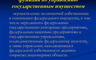 Кто управляет федеральным имуществом в рф