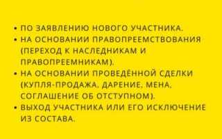 На основании чего действует учредитель