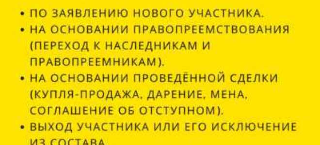 На основании чего действует учредитель