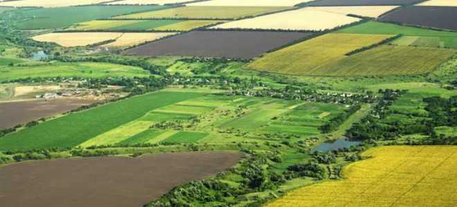 Кто распоряжается землями сельскохозяйственного назначения