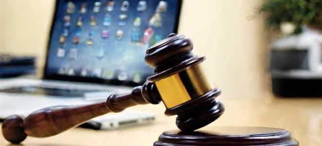 Какие законы были приняты сегодня