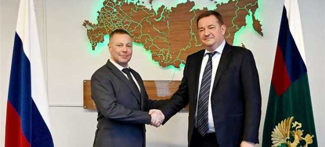 На сколько лет избирается губернатор области