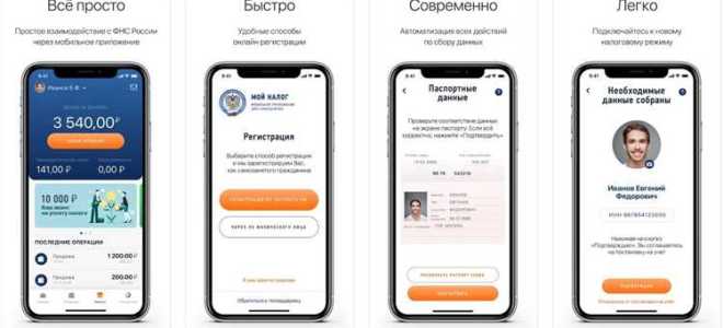 Какой документ подтверждает самозанятость гражданина
