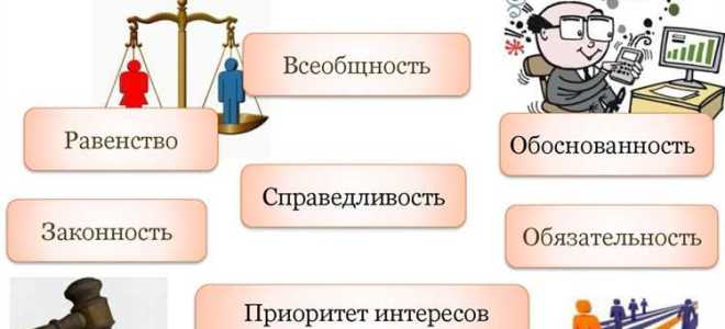 Как на практике реализуется принцип всеобщности и равенства налогообложения