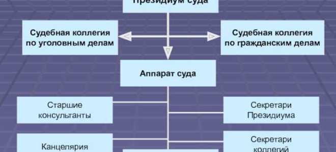 Сколько апелляционных судов общей юрисдикции в рф