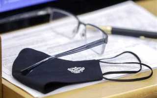 В чем заключается работа депутата