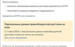 Дата выписки из егрн где смотреть