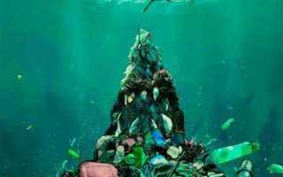 Что карается за загрязнение морей и океанов