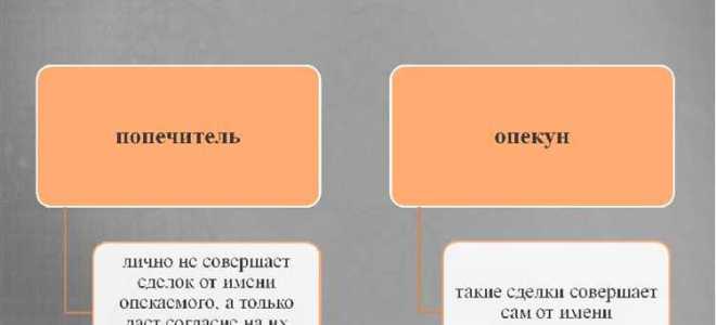 Опекун и попечитель в чем разница