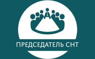 Как узнать кто председатель в снт