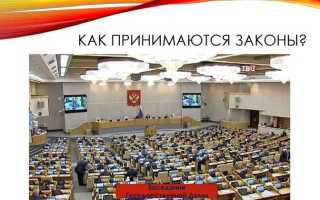 Разработка и принятие законов кто