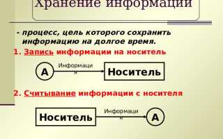 В каком документе постулируется что информация