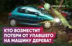 Что делать если на машину упало дерево