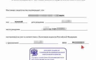 Как получить устав из налоговой в бумажном виде