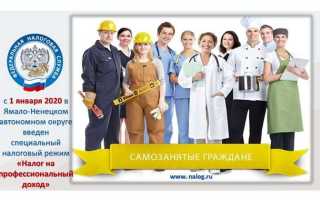 Налог на профессиональный доход что это