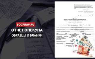 Отчет опекуна как правильно заполнять