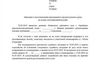 Как обжаловать решение суда по административному делу