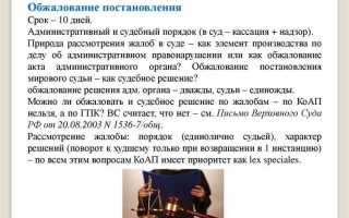 Каков общий срок рассмотрения дел об административных правонарушениях