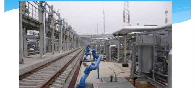 Кто устанавливает сроки погрузки и выгрузки и где они указаны