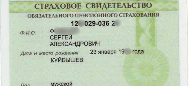 Страховой номер индивидуального лицевого счета что это