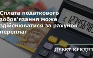 Сумма переплаты по декларации что это