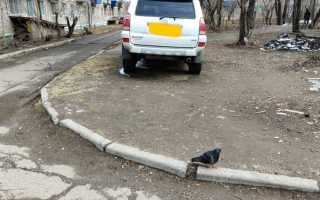 Как заставить администрацию сделать дорогу в деревне