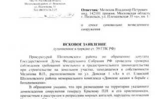 Что такое административное исковое заявление