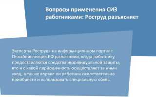 С какого дня исчисляется период использования сиз