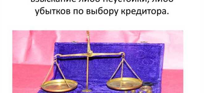 Какой вид несостоятельности отсутствует в правовом поле рф