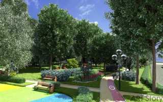 Паспорт дворовой территории где посмотреть