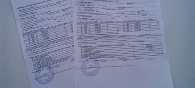 Справка от общества о том что доля участника оплачена полностью