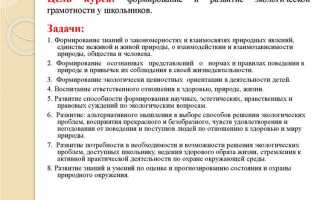Укажите форму внеурочной деятельности которая не подлежит обязательному лицензированию