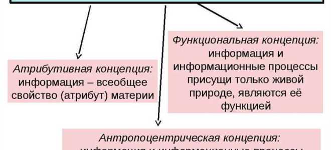 Информация которая имеет действительную или потенциальную коммерческую ценность это