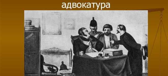 Какой орган адвокатуры возглавляет ее систему