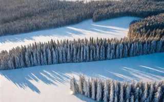 Что включает в себя территория рф