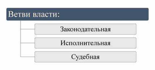 Какой принцип означает отсутствие между субъектами властного подчинения зависимости
