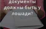Какие документы должны быть на сайте